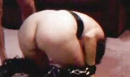 Start a career as a horse anal vore porn actress