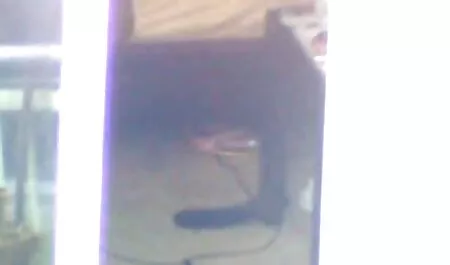 Porn in store hardcore hentai