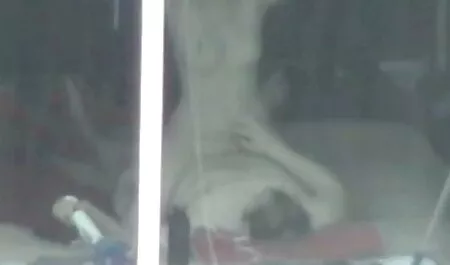 Beat one piece anime porn him up