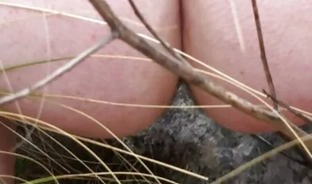 Kicking the leg of A Mature 3d horse sex Mother
